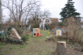 /album/un%20jardin%20%c3%a0%20chatou-bientot%21/dsc-0003-t10-gif/
