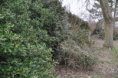 /album/un%20jardin%20%c3%a0%20chatou-bientot%21/dsc-0004-t10-gif/