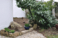 /album/un%20jardin%20%c3%a0%20chatou-bientot%21/dsc-0244-t10-gif/